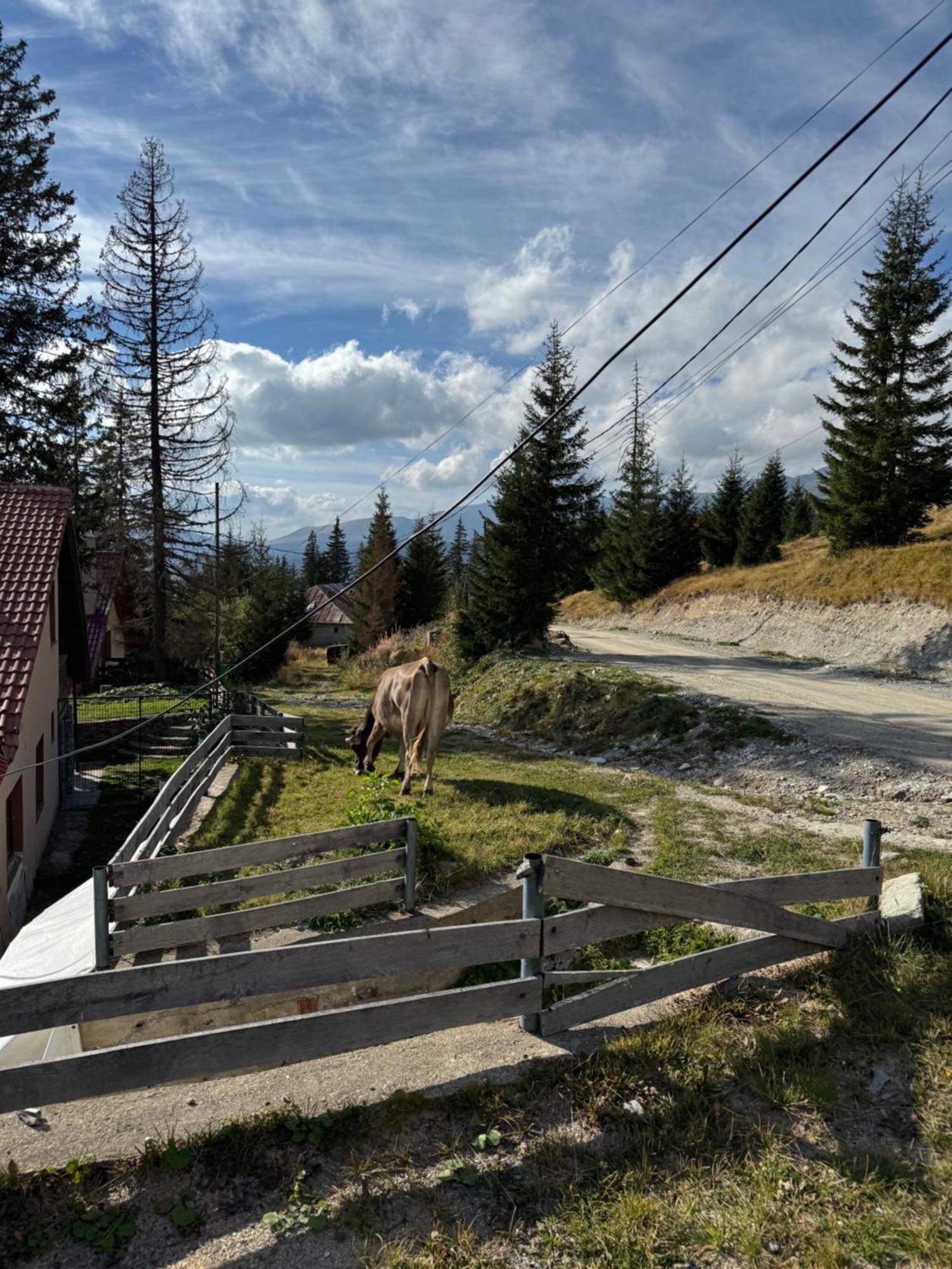 Casa Hai La Ранка Екстериор снимка